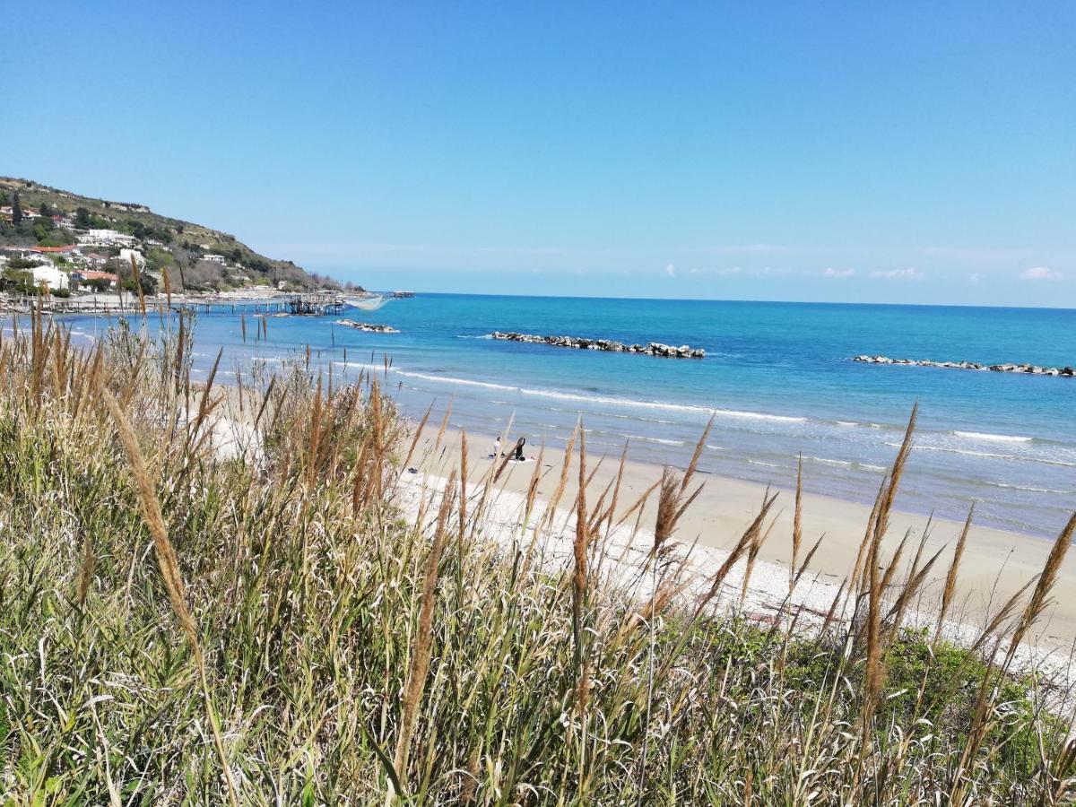 Sole & Querce Apartments- Bike Friendly With Garage Lanciano Exteriör bild