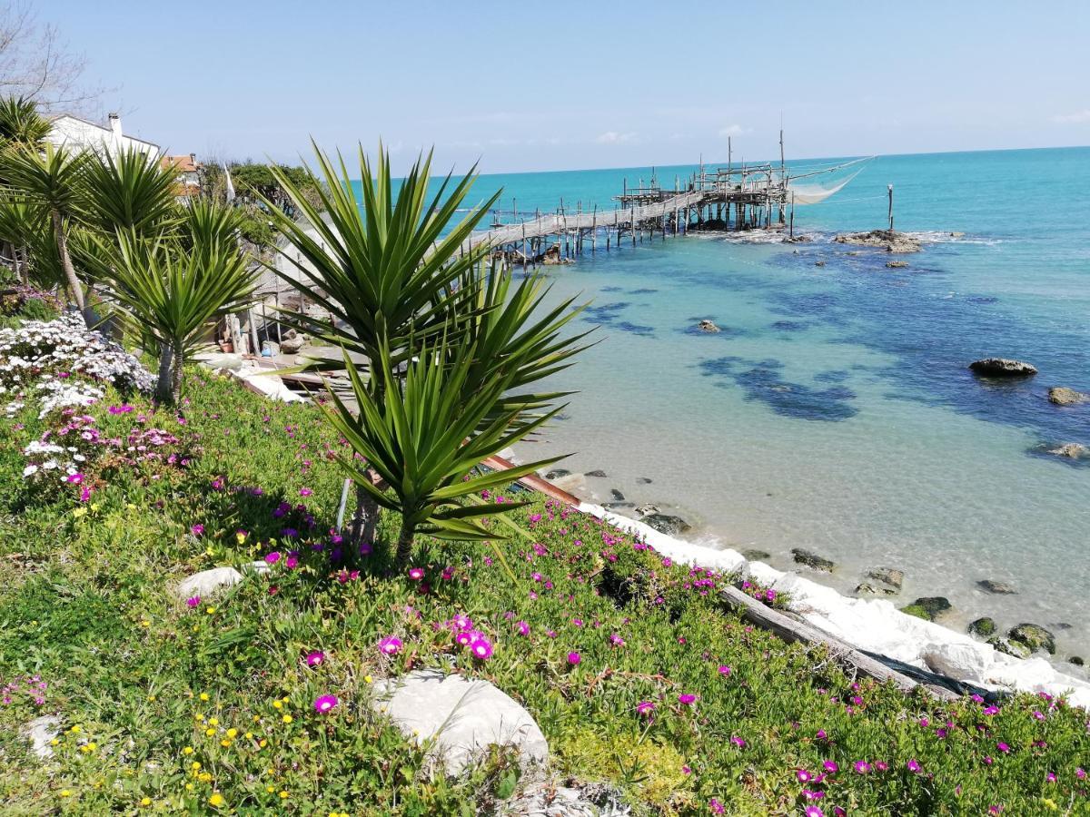 Sole & Querce Apartments- Bike Friendly With Garage Lanciano Exteriör bild